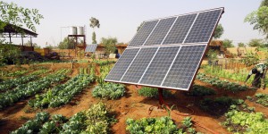 RURAL-SOLAR-ELECTRICITY